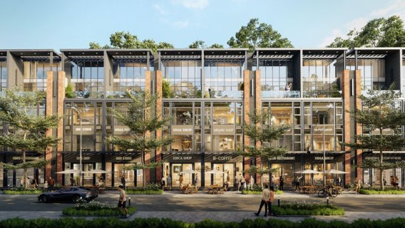 Đầu tư bất động sản: Cơ hội và thách thức trong năm 2025 7 Đầu tư shophouse