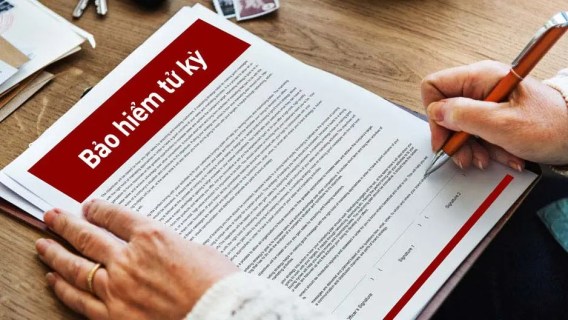 Người Việt nên biết: 5+ loại bảo hiểm thiết yếu trong đời sống hiện đại 3 Bảo hiểm tử kỳ là gì?