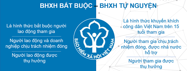 phan biet bao hiem xa hoi tu nguyen va bat buoc e1753155264933