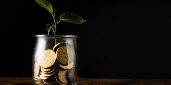 Người Do Thái và bí mật làm giàu: 10 tư duy giúp tiền sinh ra tiền 4 Giữ chắc vốn gốc